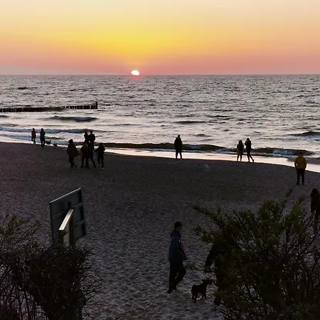 Spokojna 12 ミエルノ