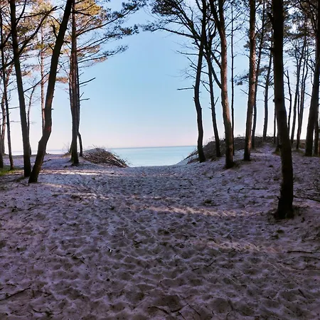 Spokojna 12 アパート ミエルノ